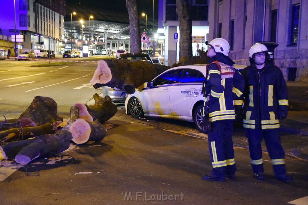 Baum auf PKWs Koeln Mitte Rheinuferstr Goldgasse P021.JPG - Miklos Laubert